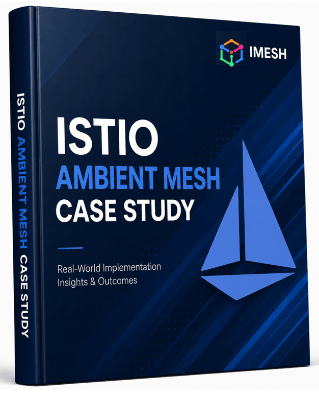 Istio Ambient Mesh Case Study